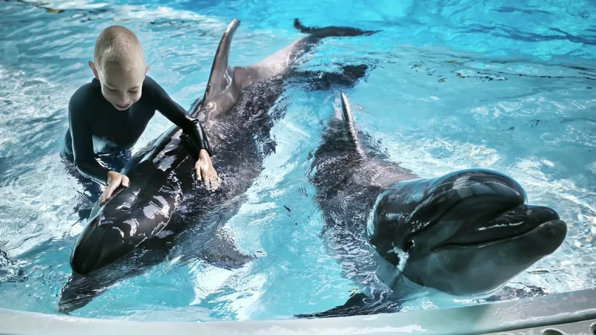 Naujos patirtys Panevėžio rajono mokiniams: nuo pažinties su delfinais iki pirmųjų plaukimo įgūdžių