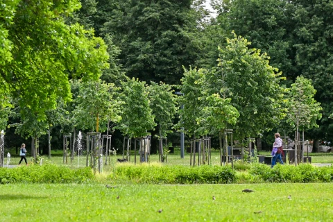 Panevėžiečiai kviečiami sodinti biologinės įvairovės miškelį