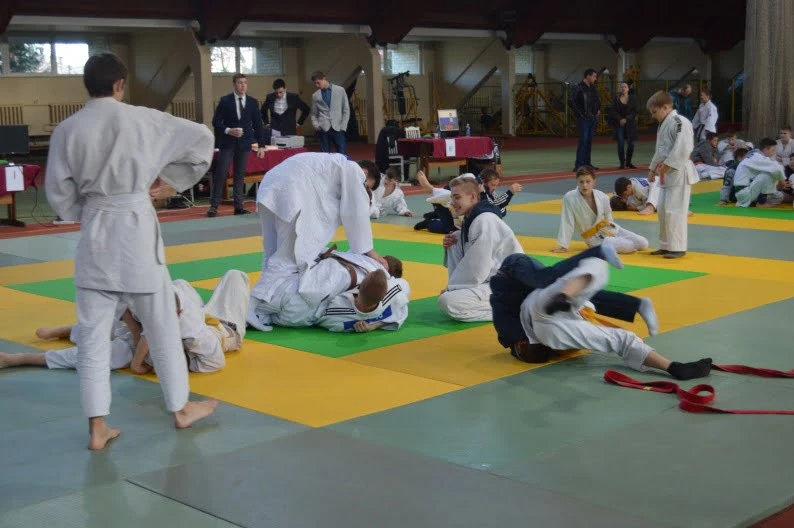 Sekmadienį – Baltijos šalių SHOTOKAN karatė čempionatas