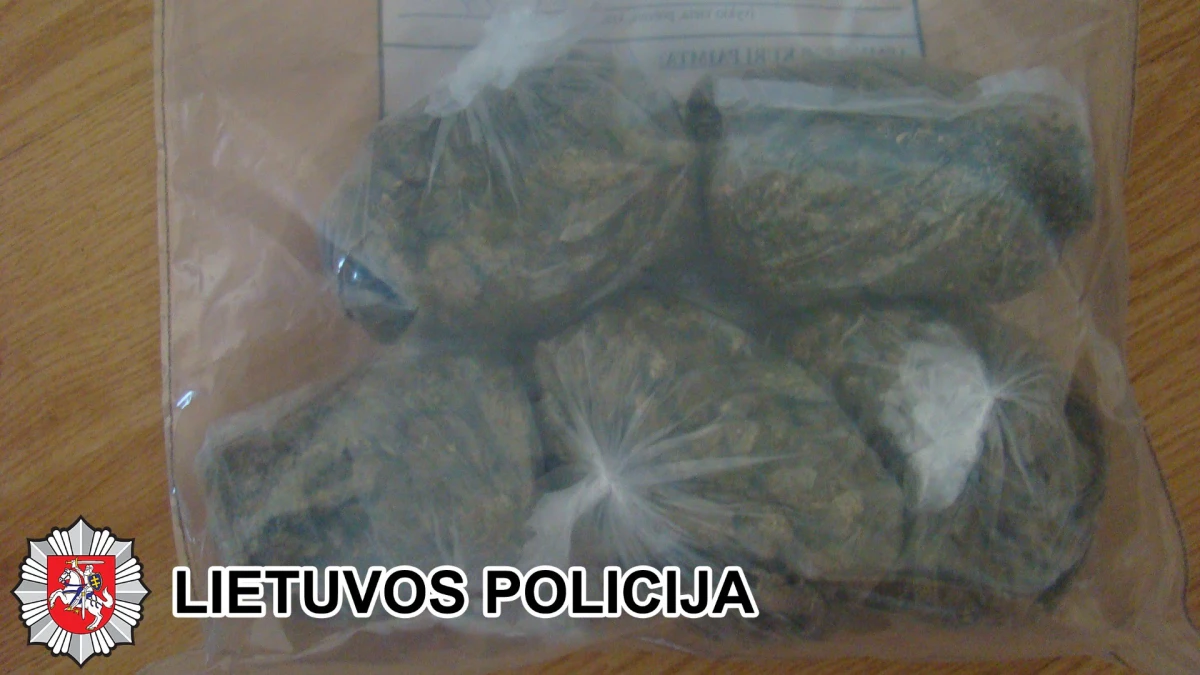 Panevėžyje nepasklido daugiau nei 600 narkotikų dozių