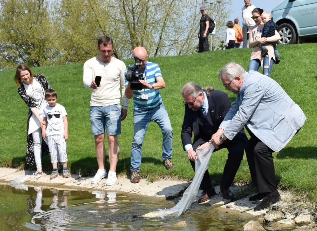 Senvagėje paleisti amūrai