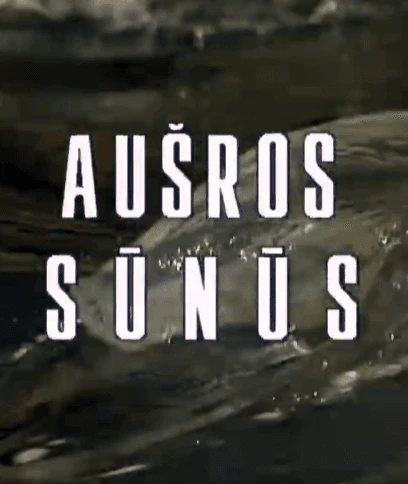 zoomed ausros sunus