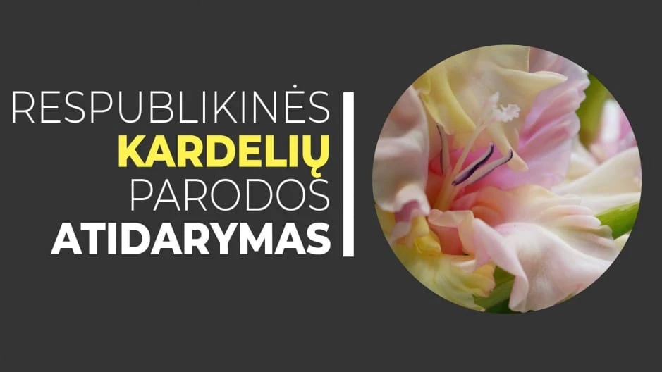 G. Petkevičaitės-Bitės bibliotekoje – kardelių paroda