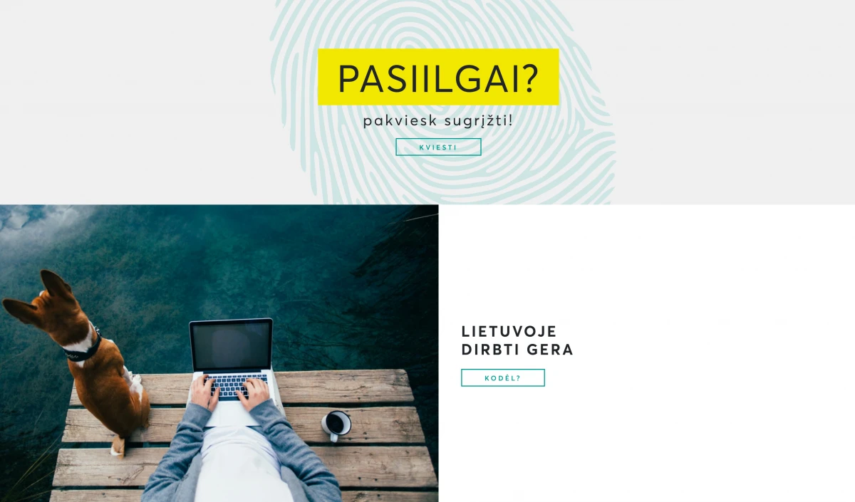 „Gal į Lietuvą?“: pirmasis renginys sulaukė išeivijos dėmesio