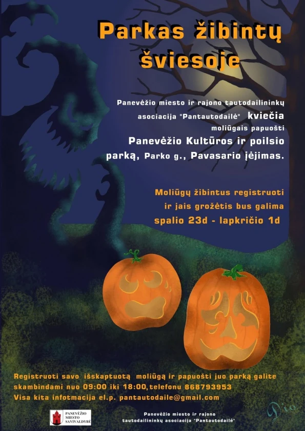 Kultūros ir poilsio parkas žibintų šviesoje