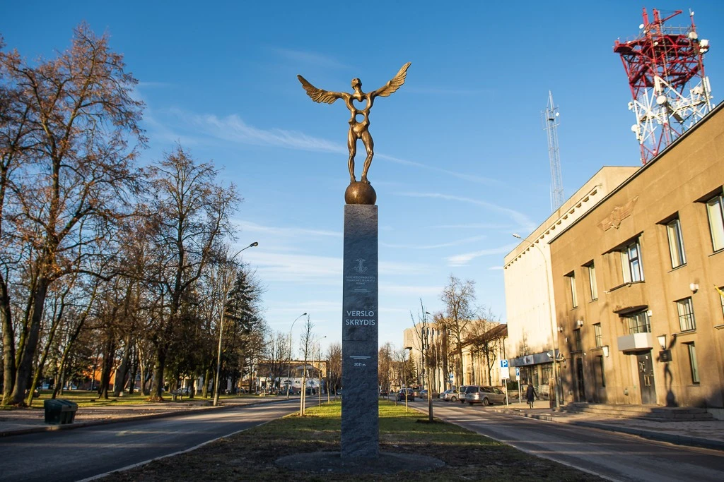 Verslo skrydis