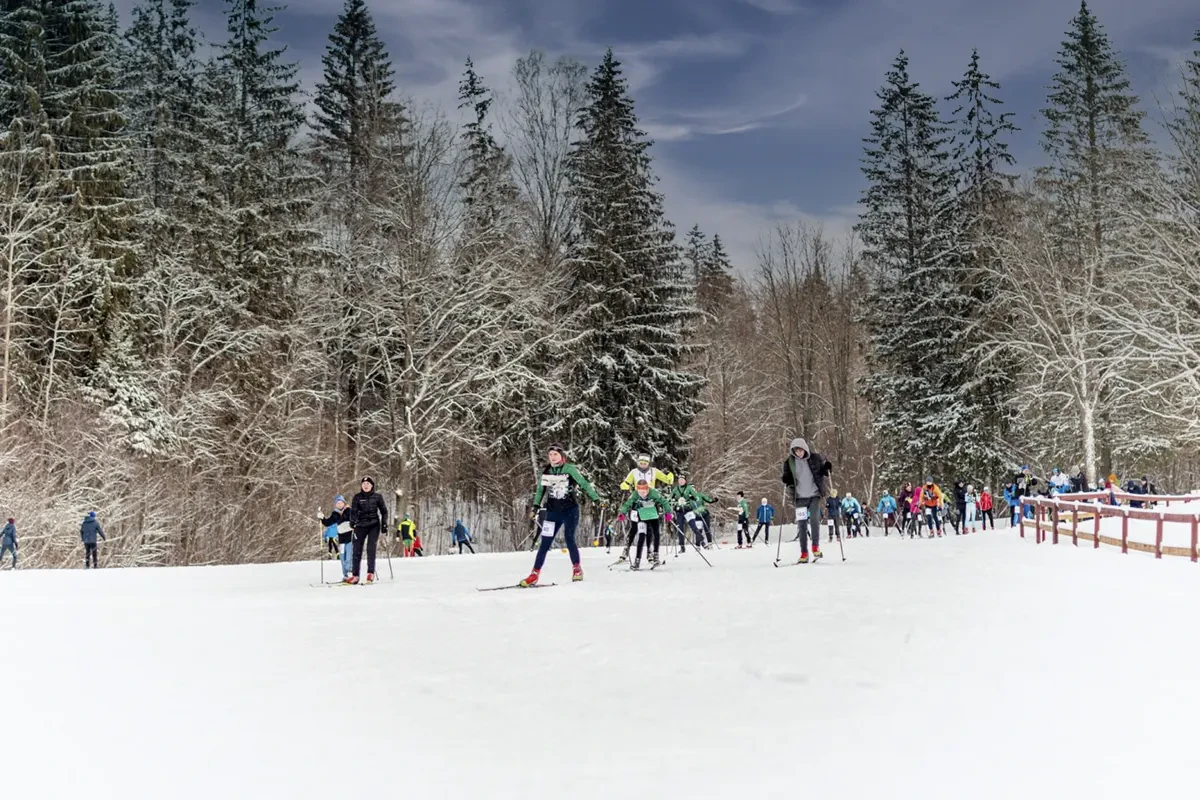 Panevėžiečiai iš Lietuvos orientavimosi sporto slidėmis čempionato grįžo su apdovanojimais