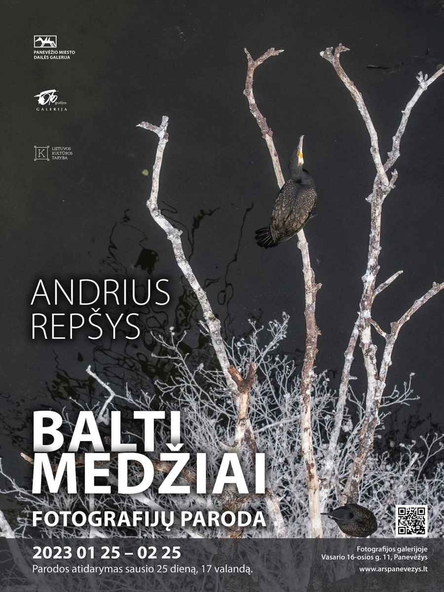 Andriaus Repsio parodos Balti medziai plakatas