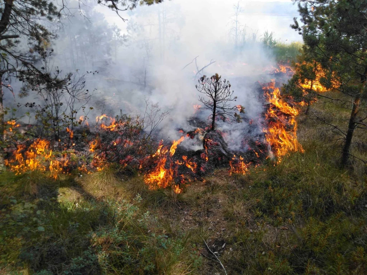 Pavasariniams gaisrams užkardyti – prevenciniai miškininkų reidai