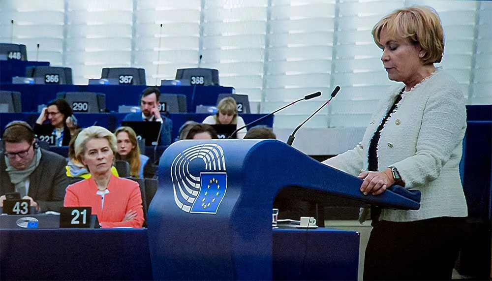 R. Juknevičienė: „Taivanas nėra tik JAV interesas, Prezidente E. Macronai“