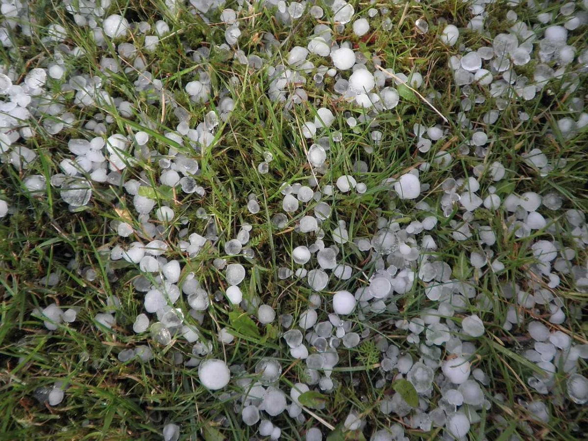 Dėl nuostolių atlyginimo intensyviai dirba ir savivaldybė, ir nukentėjusieji