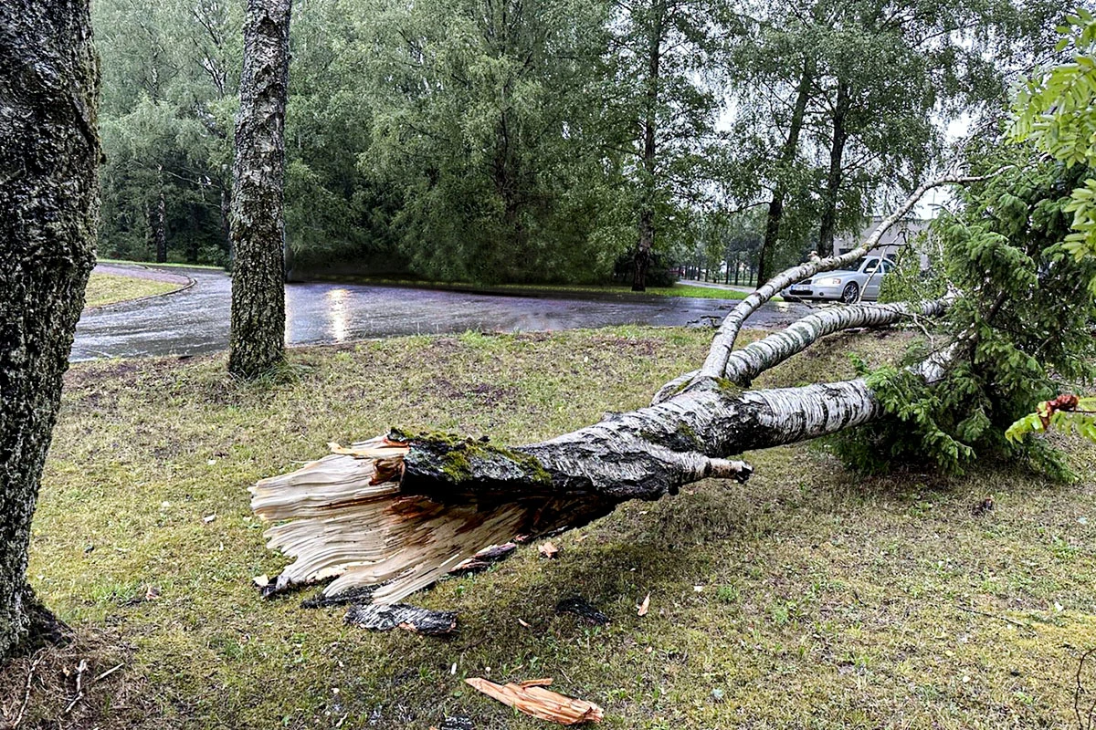 Panevėžyje šalinami stichinės audros padariniai