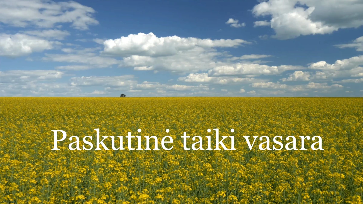 „Paskutinė taiki vasara“ – dokumentinis filmas apie karo pakeistą pasaulį