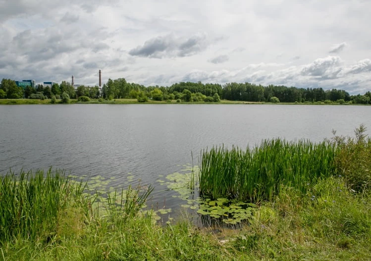 Parengs du paplūdimius