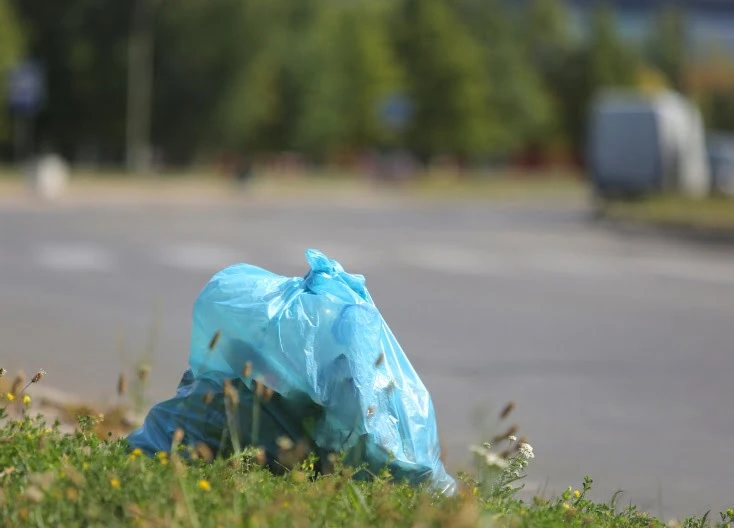 Daugiau valandų – atlikti visuomenei naudingą veiklą