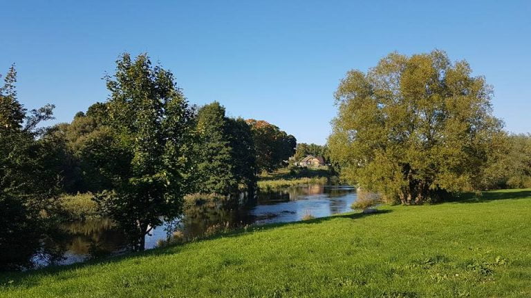 22008475 1592251127463251 8910576511881645733 n