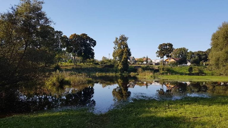 22046874 1592251170796580 1176586332388662505 n