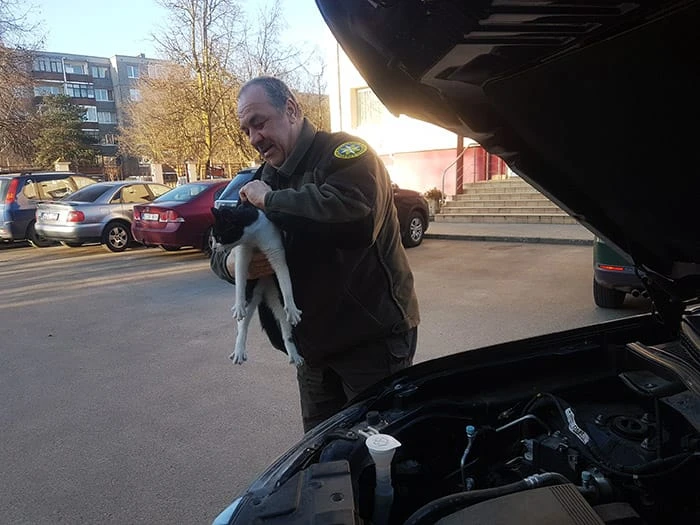 Panevėžio regiono aplinkos apsaugos departamento pareigūnai gelbėjo po automobilio variklio dangčiu įstrigusį katiną.