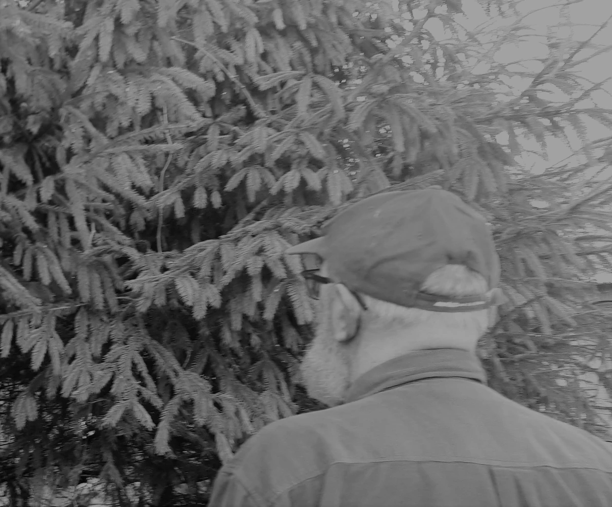 v.miknius foto