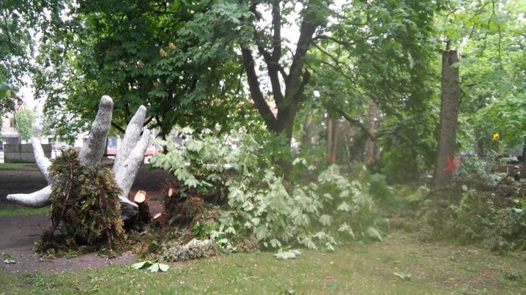 61279233 1103580103159061 4919285945464782848 n