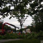 67189049 1142507475932990 7400460403148324864 o