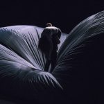 Vaistas nuo nuobodulio – „Kelionė į Edeną“ 7 A.Gudo fotografija 240 of 280