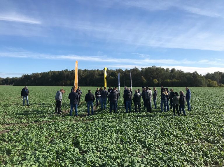 KGGroup Lauko dienos 1