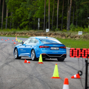 101981296 1415155992019194 975788673838612480 n