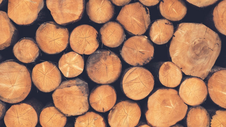 Medienos kaina Lietuvoje ir toliau krenta