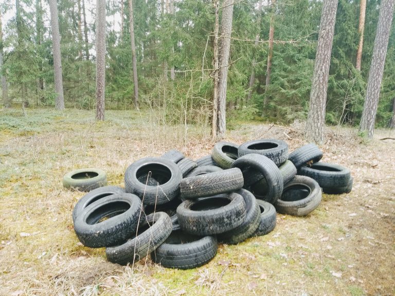 IMG 20200227 135601 scaled