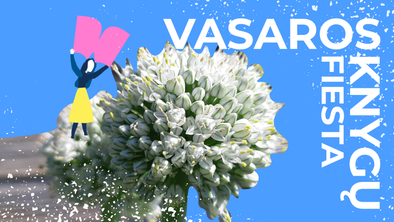 vasaros knygu fiesta 18 d su uzrasu