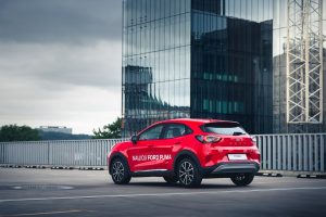 Vienas plėšriausių SUV šeimos gyvūnų atvyko į Lietuvą 4 1VP 0813