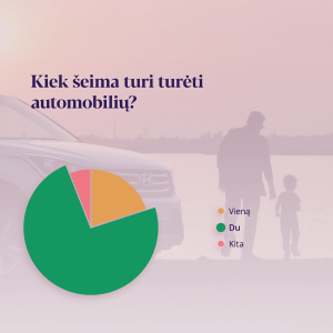 Seimos automobilis 2