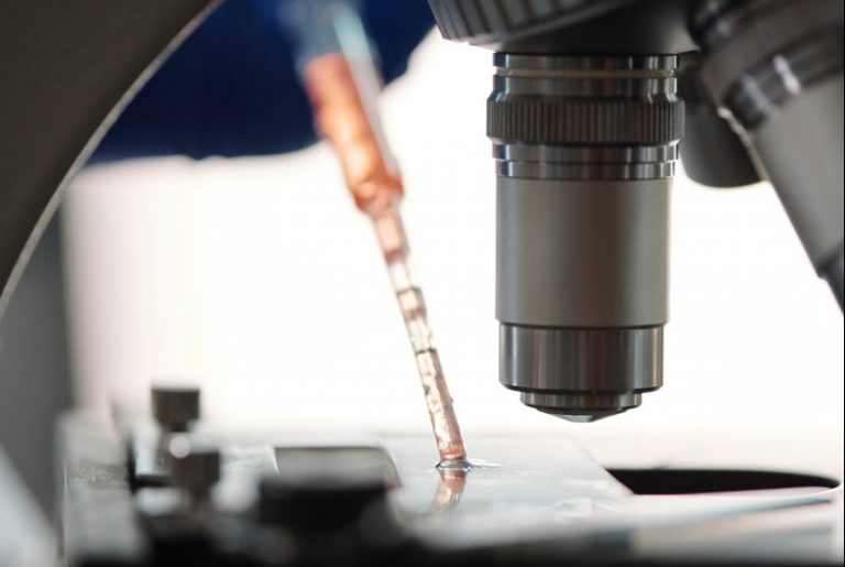 pexels photo 4031436 e1605346174398