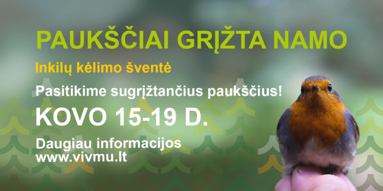 Pauksciai grizta namo