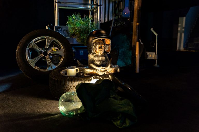 A.Gudo fotografija 2021 03 11 232 of 289 mazesne