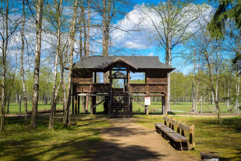 Pasiliu stumbryno nuotr.