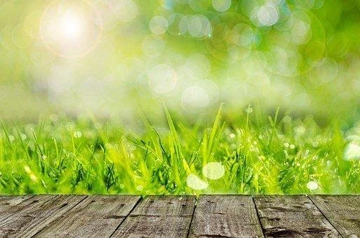 Laistymo žarnos: ką svarbu žinoti?