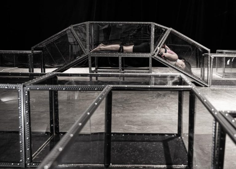 M.Dirsytes performansas