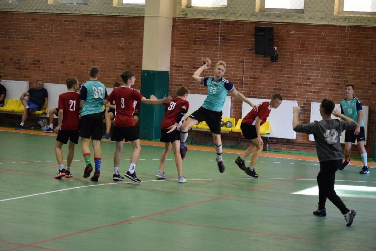 Rankinis Panevezio taure