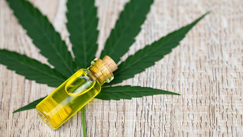 Kanapių aliejus – puiki prevencinė priemonė nuo įvairių ligų