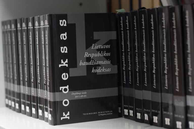 d1 baudziamasis kodeksas