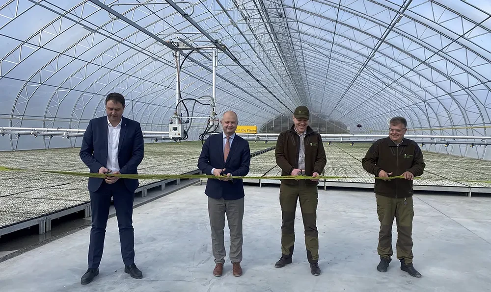 Technologijos keičia miškininkystę: pažangiausiame Lietuvoje medelyne miško sodmenų išauginimas tapo nenutrūkstamu procesu