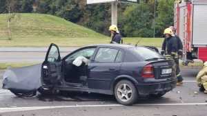 302441310 489219209878900 2170636968284527618 n