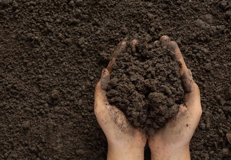 0001 purvas 3 1674040299