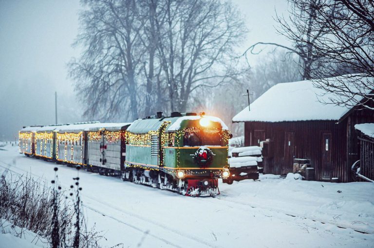 Kaledinis siaurukas anyksciai Ievos vogulienes nuotrauka