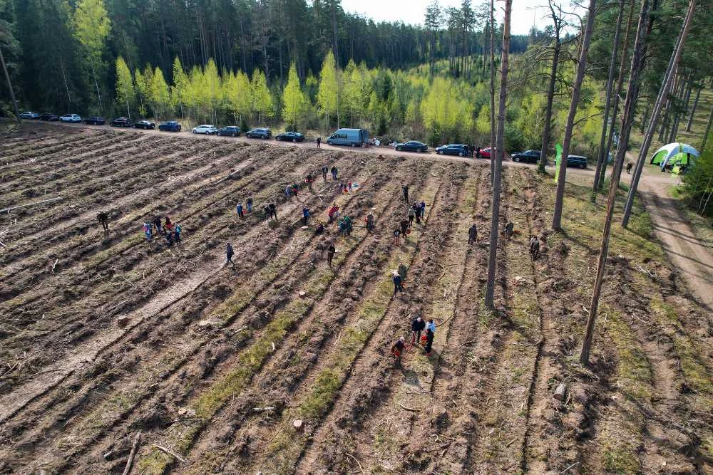 Nacionalinis miškasodis sutelkė tautiečius – pasodinta tiek medelių, kiek Lietuvoje gyventojų – net 2,8 mln.