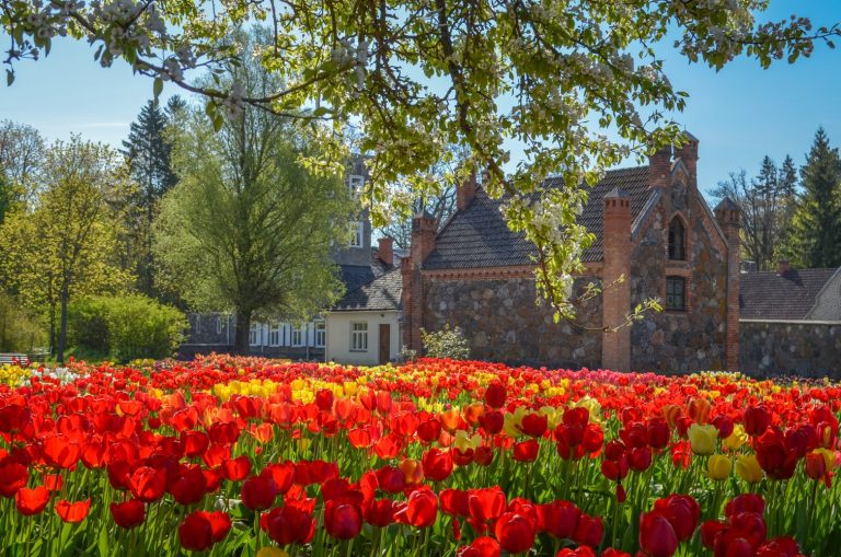 Lauros Prasceviciutes nuotr