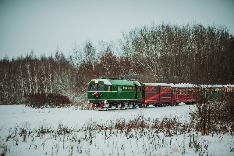 Šiemet Siaurukas organizuos 12 šventinių kelionių