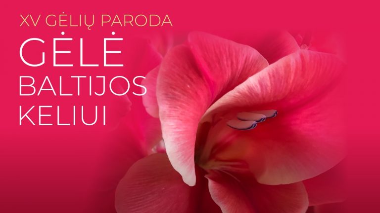 0725 KARDELIU paroda psl